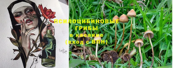 mdpv Лиски