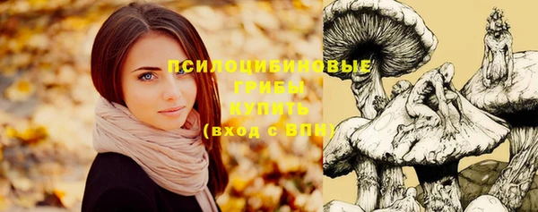 индика Вязьма