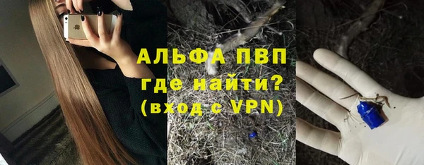 твердый Майский