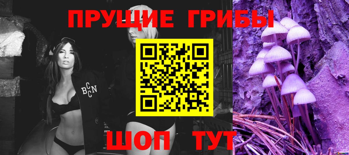 Похвистнево  Псилоцибиновые грибы прущие грибы  Вход с VPN  Галлюциногенные грибы мухоморы 
